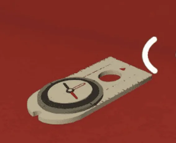 The compass item