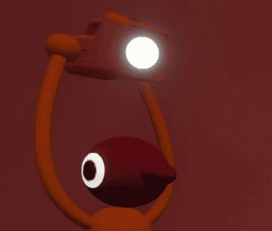 The directional flashlight